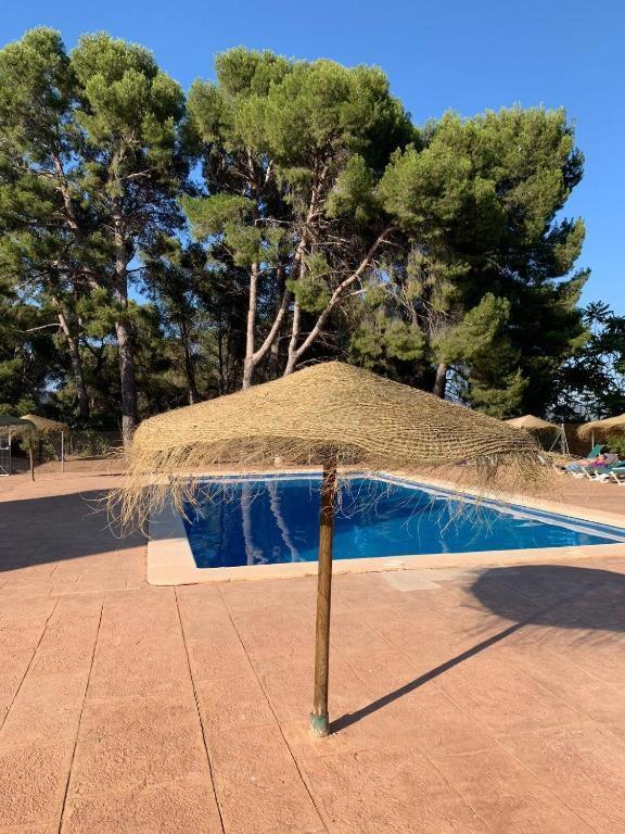 Masia De San Juan - Castillo Con Piscina En Plena Sierra Calderona 塞古比 外观 照片